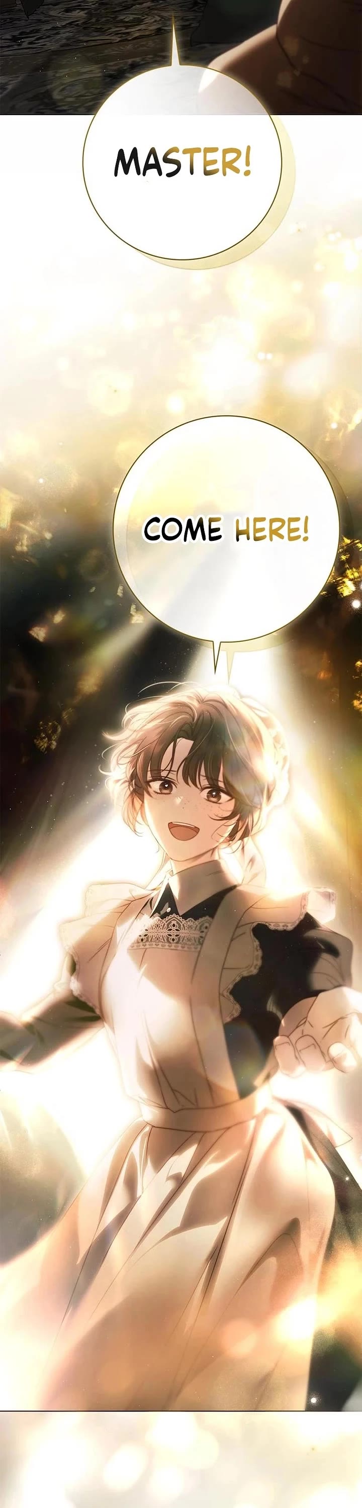 The Count's Secret Maid Chapter 81 page 47 - Chapter 81