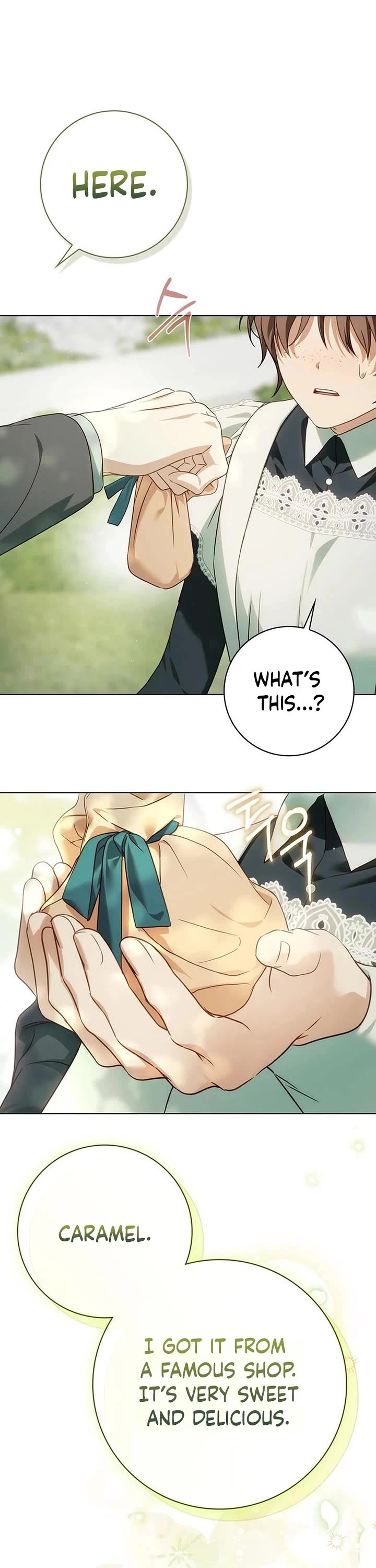 The Count's Secret Maid Chapter 83 page 25 - Chapter 83