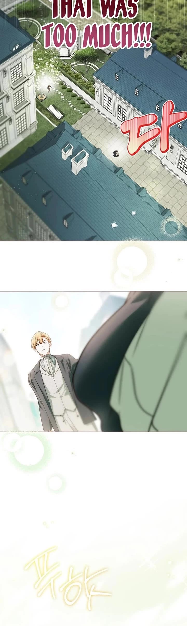 The Count's Secret Maid Chapter 83 page 34 - Chapter 83