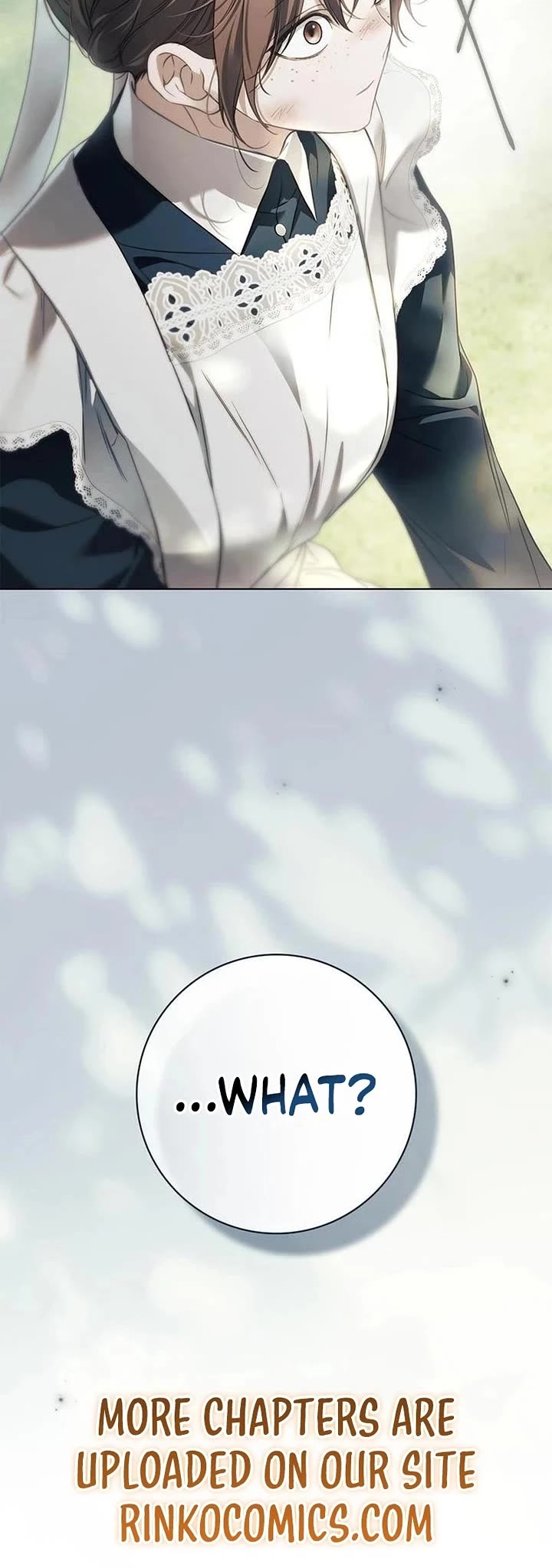 The Count's Secret Maid Chapter 87 page 47 - Chapter 87