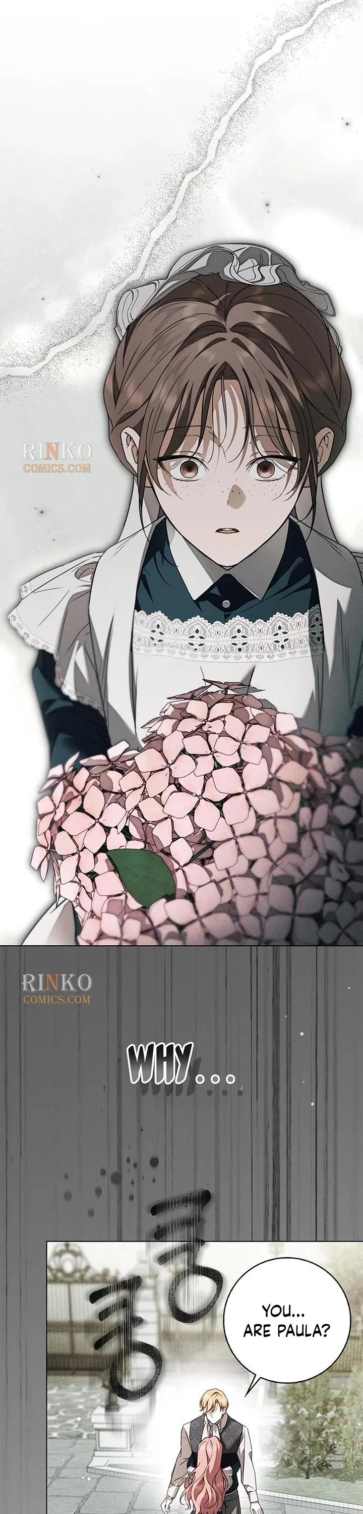 The Count's Secret Maid Chapter 89 page 3 - Chapter 89