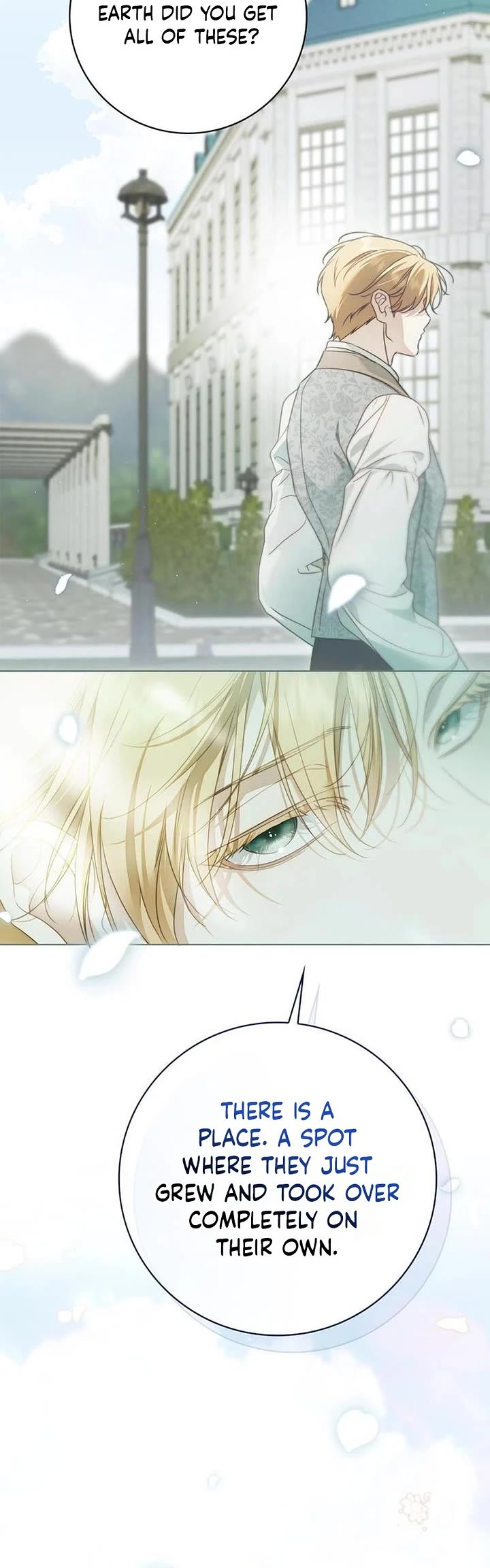The Count's Secret Maid Chapter 90 page 31 - Chapter 90
