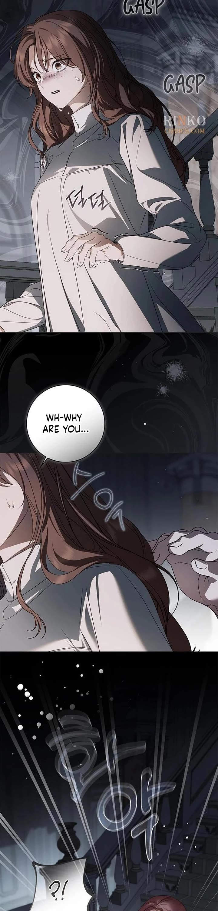 The Count's Secret Maid Chapter 91 page 2 - Chapter 91