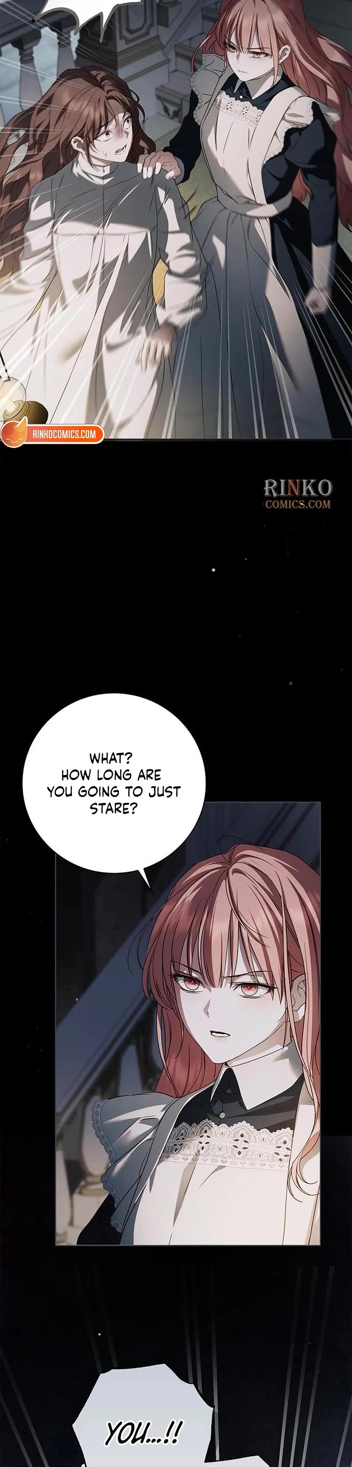 The Count's Secret Maid Chapter 91 page 3 - Chapter 91