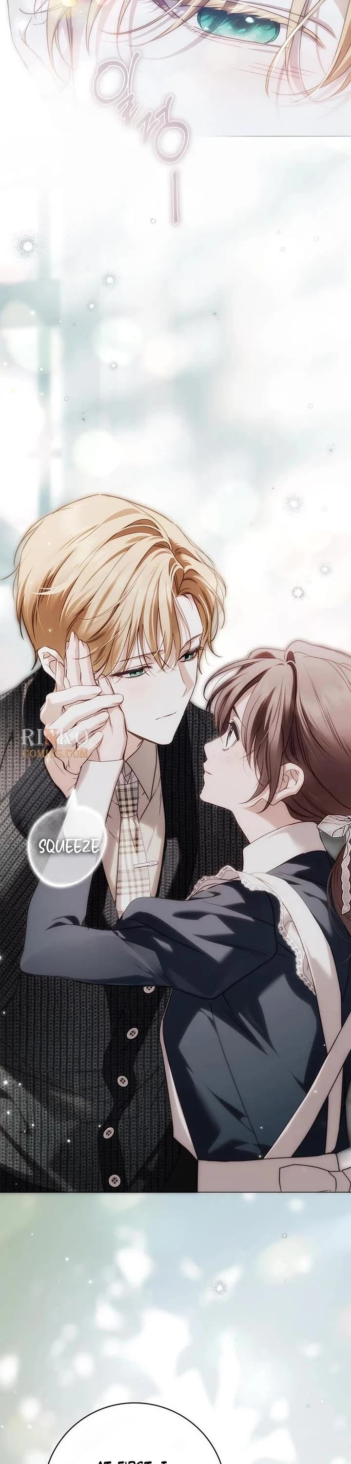 The Count's Secret Maid Chapter 94 page 25 - Chapter 94