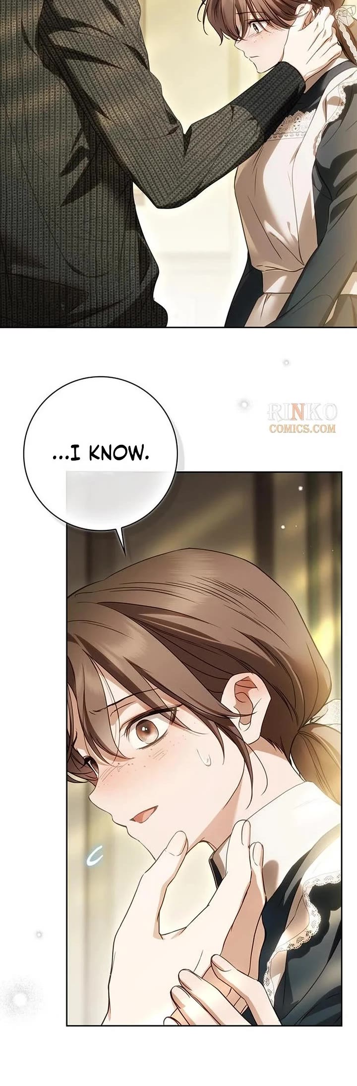 The Count's Secret Maid Chapter 95 page 20 - Chapter 95