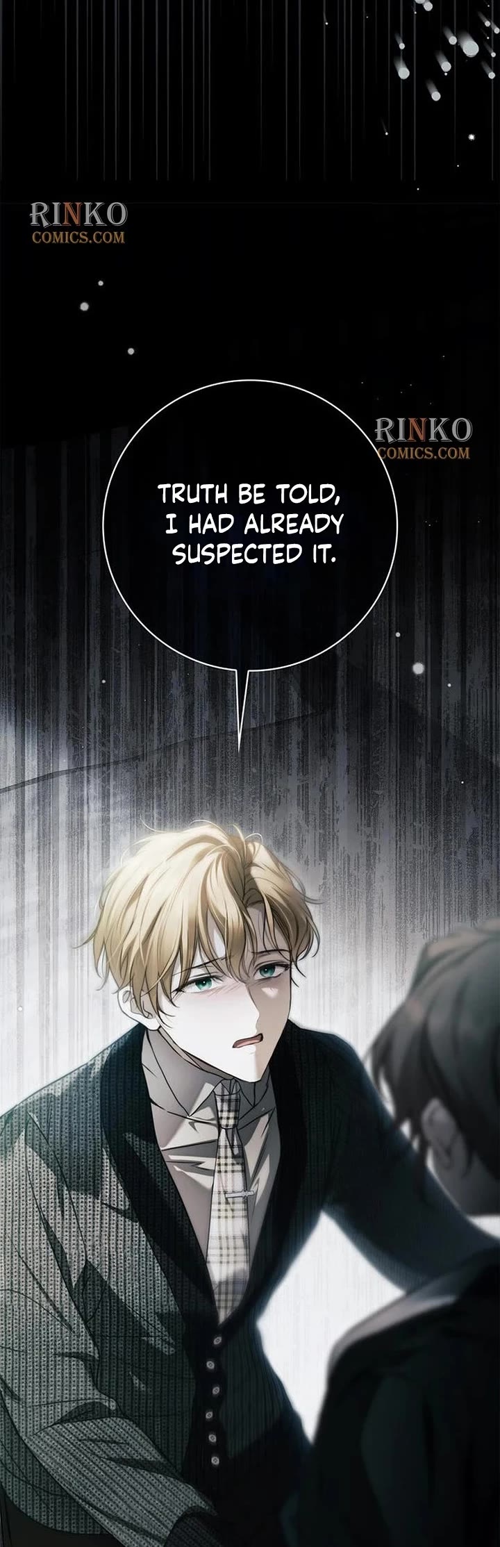 The Count's Secret Maid Chapter 96 page 27 - Chapter 96