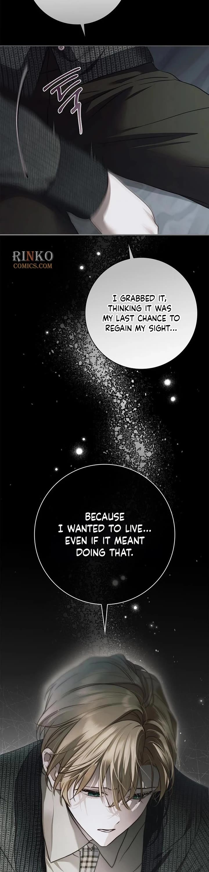 The Count's Secret Maid Chapter 96 page 31 - Chapter 96