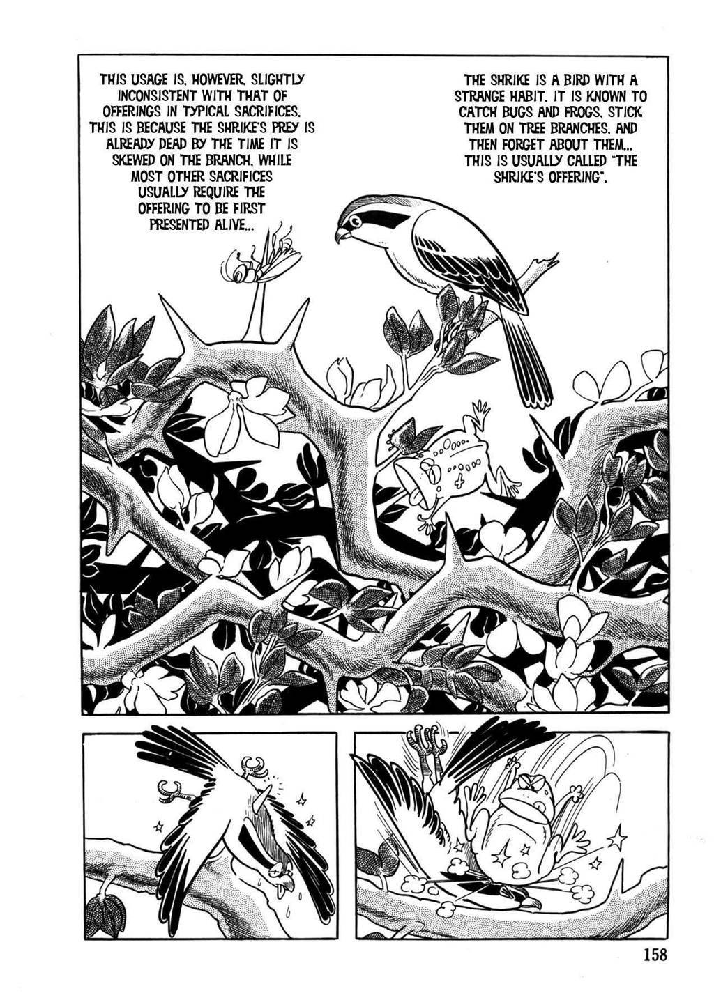 The Crater Chapter 5 page 1 - Chapter 5: Sacrifice