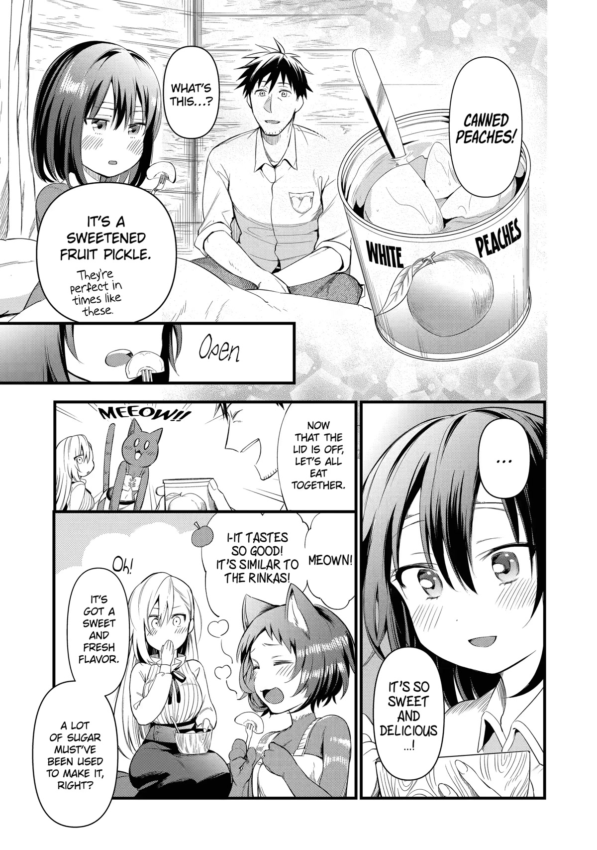 The Daily Life of a Middle-Aged Online Shopper in Another World Chapter 17 page 25 - Chapter 17
