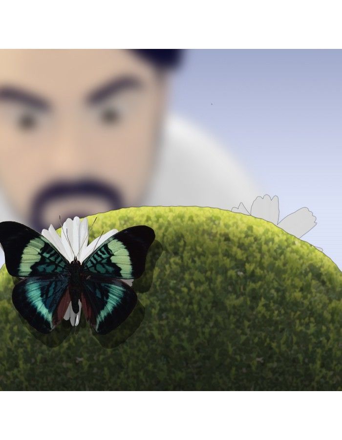 The DaneMen Chapter 31 page 5 - Chapter 31 : The One About Butterflies