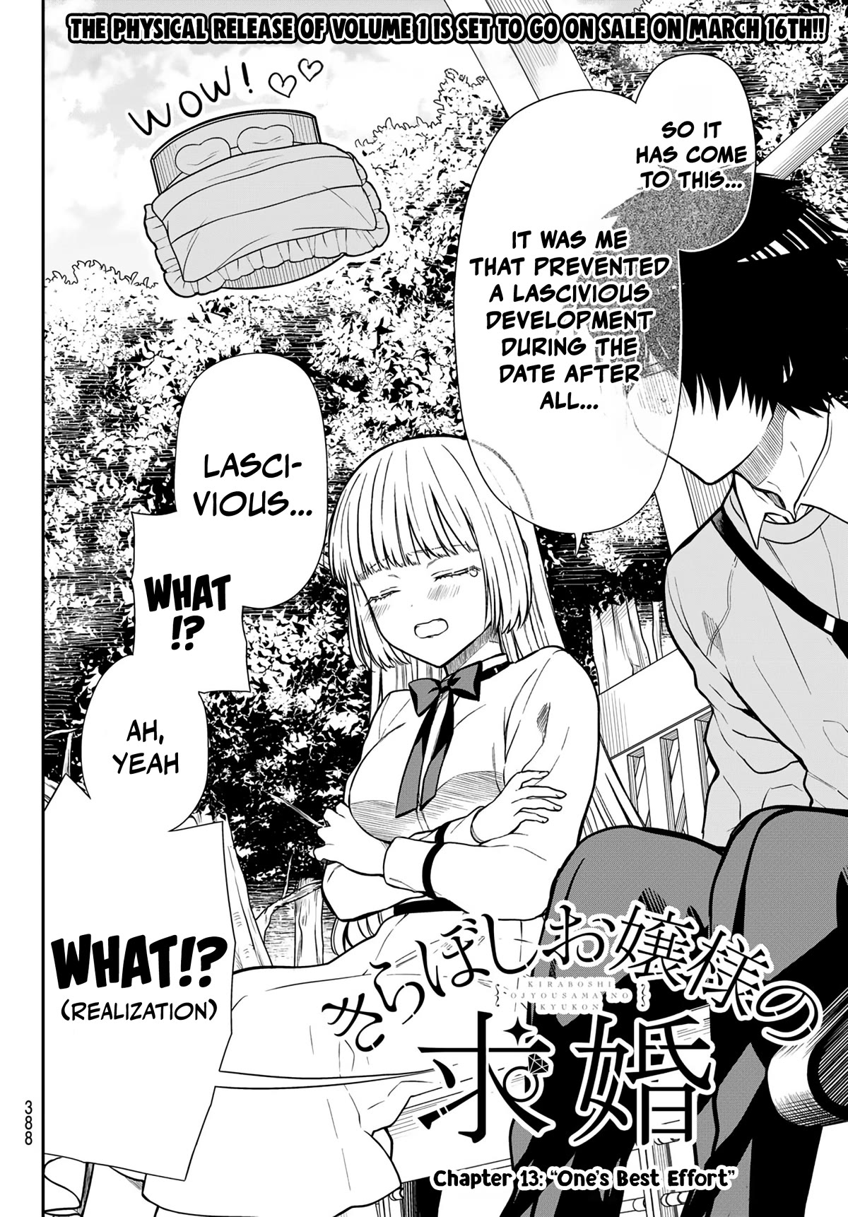 The Dazzling Young Lady's Marriage Proposal Chapter 13 page 3 - Chapter 13: "One's Best Effort"