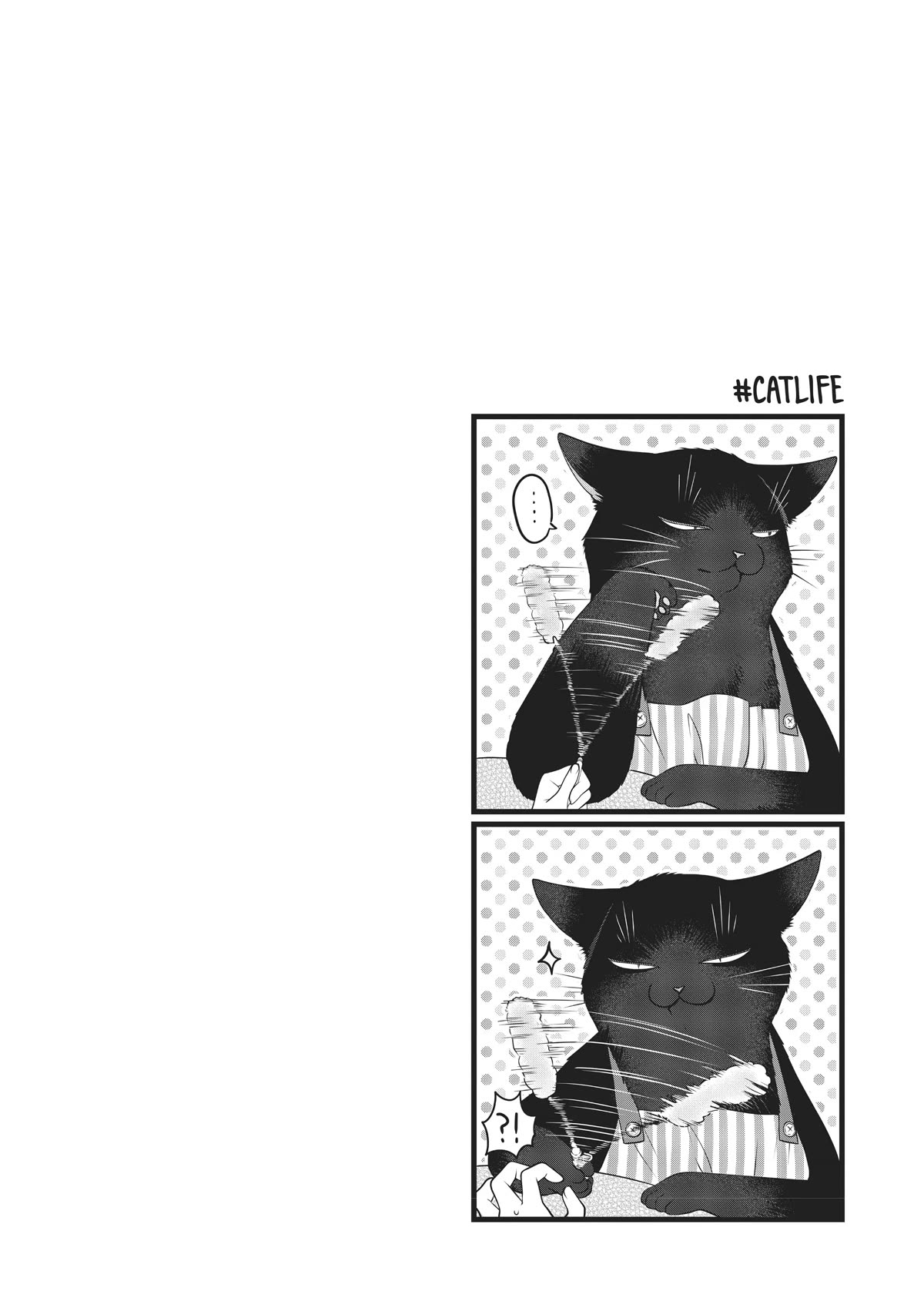 The Deceitful Cat is Depressed Again Today Chapter 25 page 12 - Chapter 25