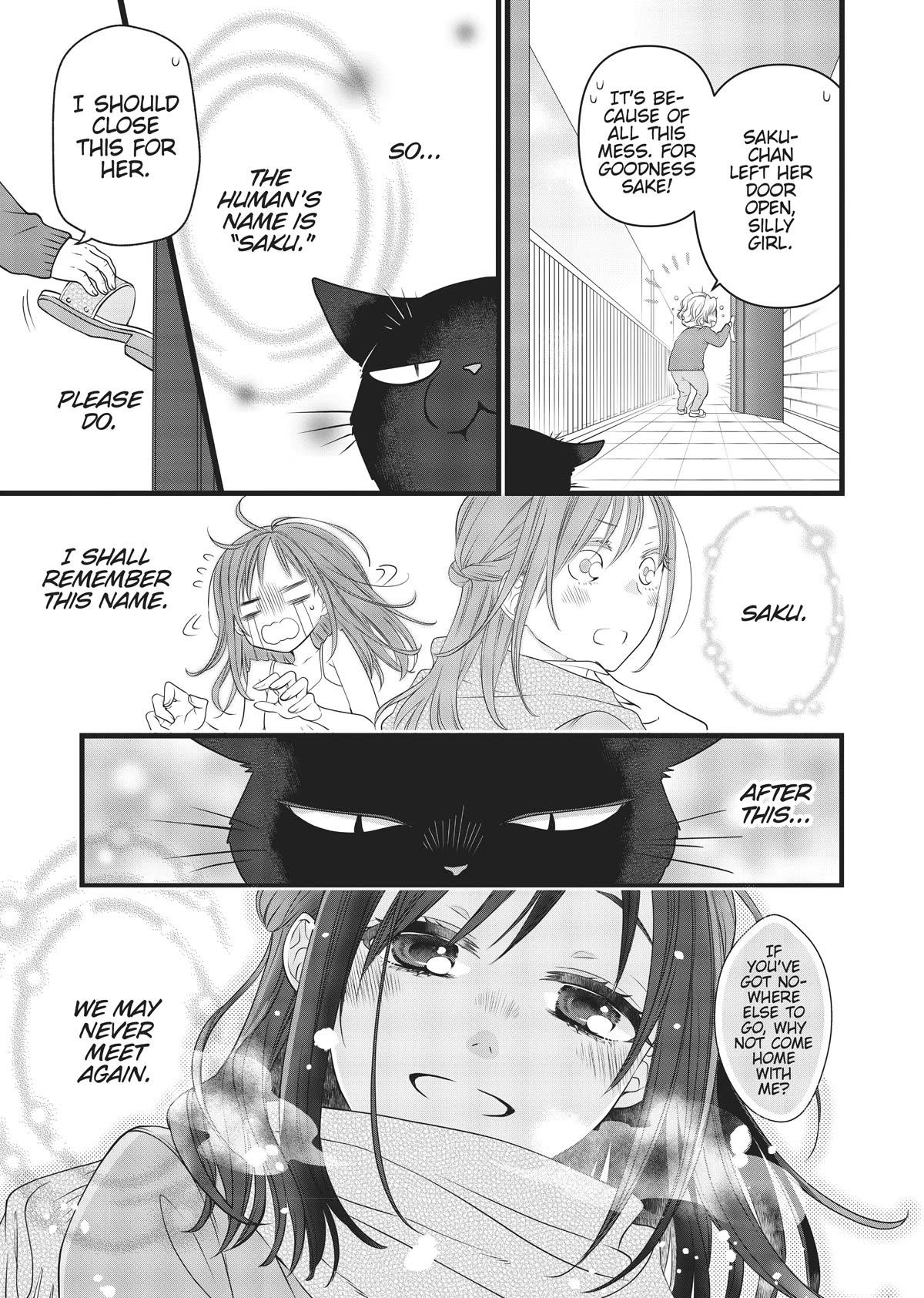 The Deceitful Cat is Depressed Again Today Chapter 35.5 page 6 - Chapter 35.5