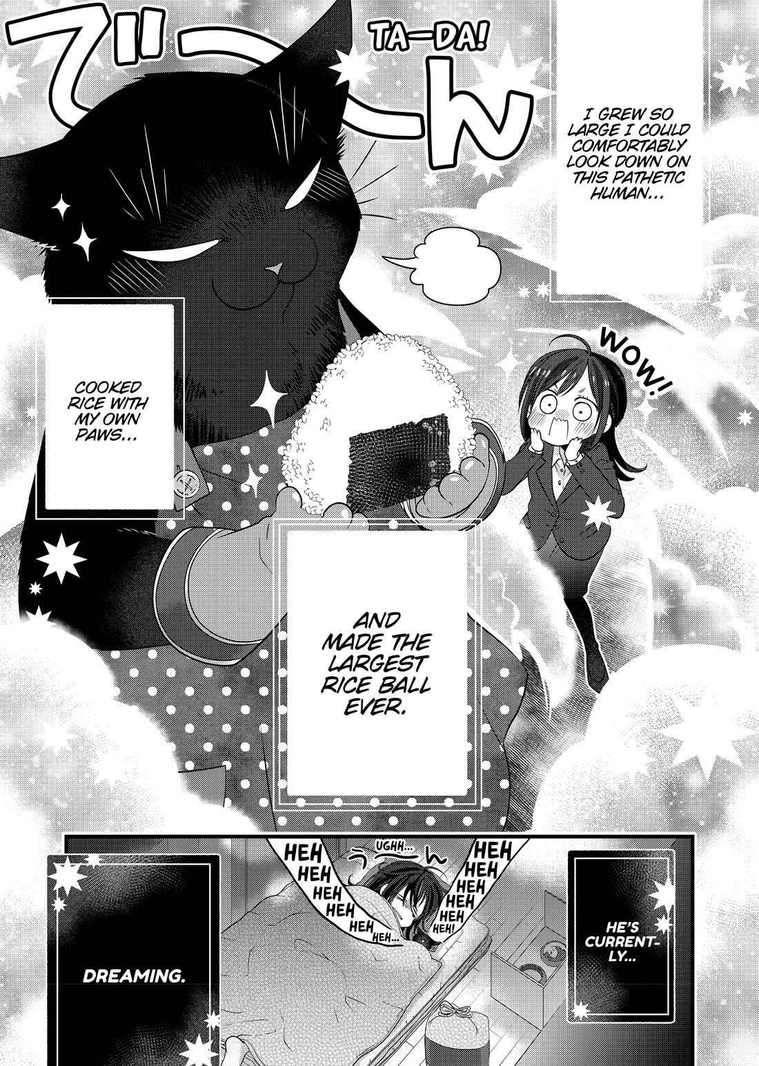 The Deceitful Cat is Depressed Again Today Chapter 56.5 page 21 - Chapter 56.5