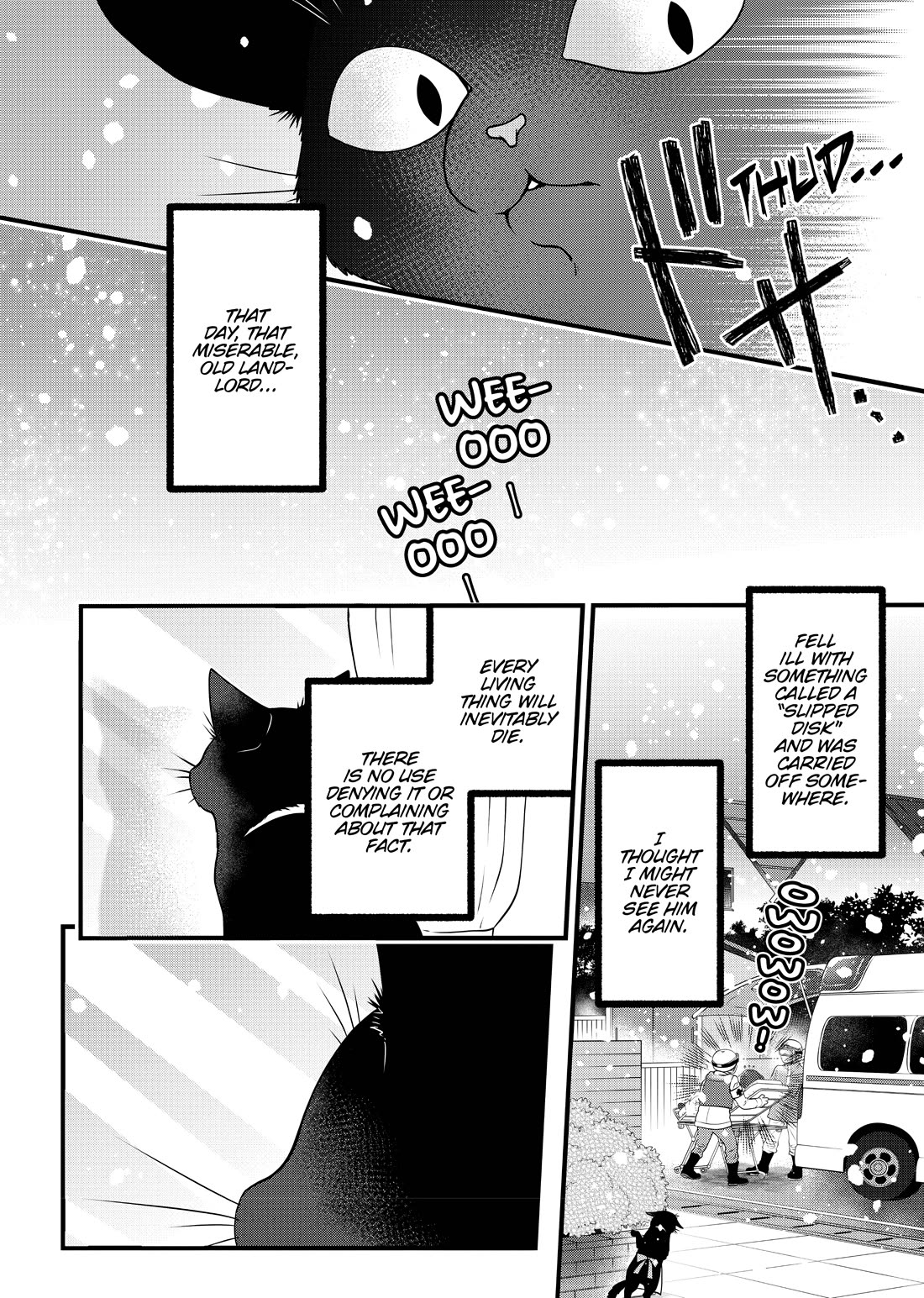 The Deceitful Cat is Depressed Again Today Chapter 56.5 page 6 - Chapter 56.5