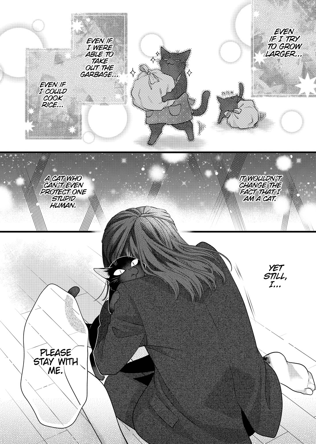 The Deceitful Cat is Depressed Again Today Chapter 69.5 page 12 - Chapter 69.5