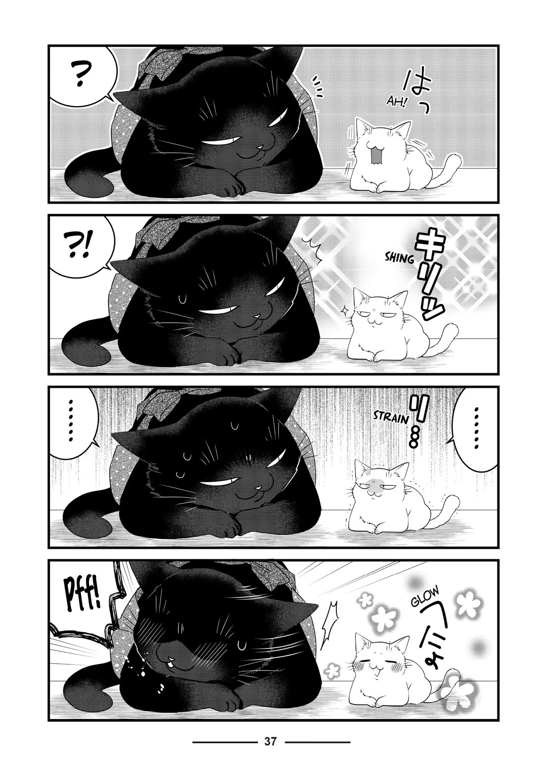 The Deceitful Cat is Depressed Again Today Chapter 74 page 5 - Chapter 74