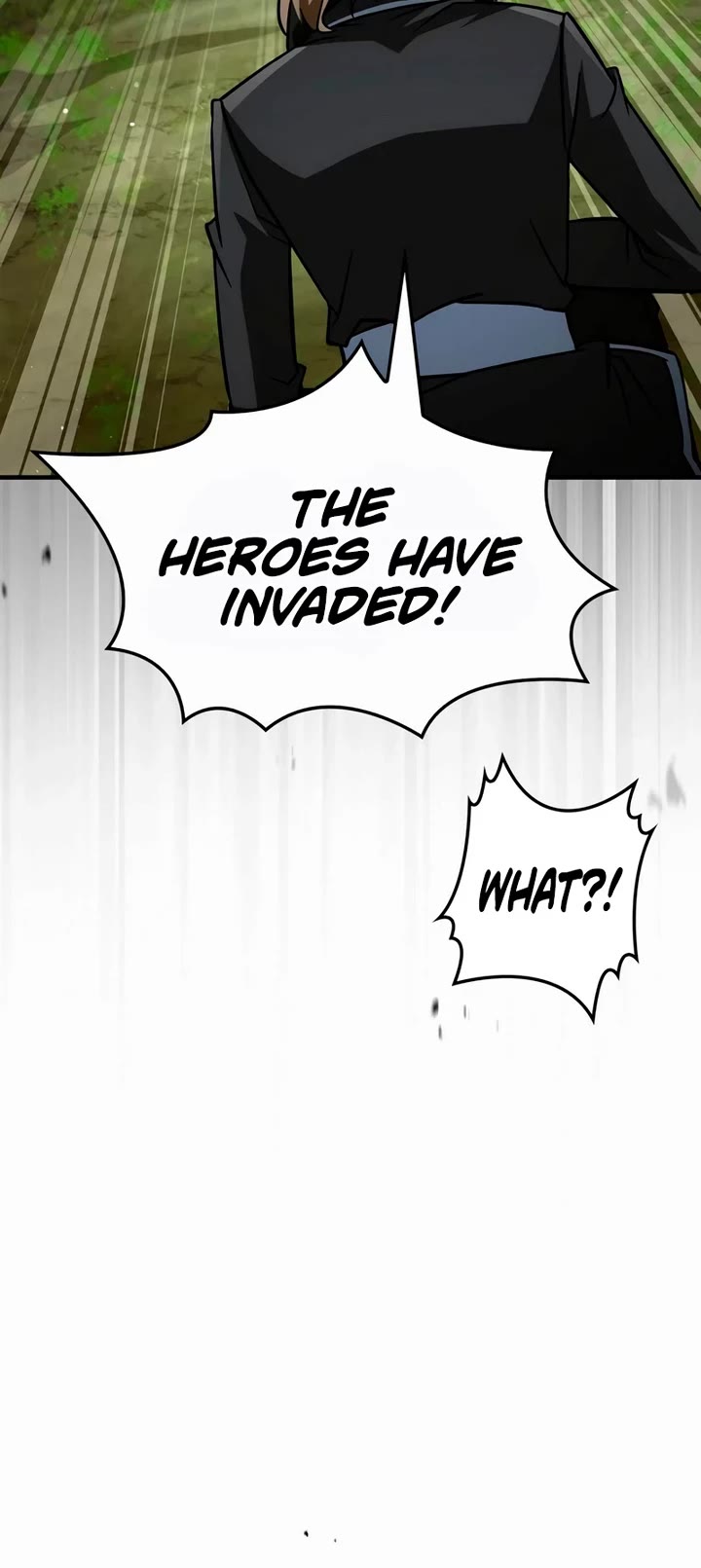 The Demon King Overrun by Heroes Chapter 22 page 9 - Chapter 22