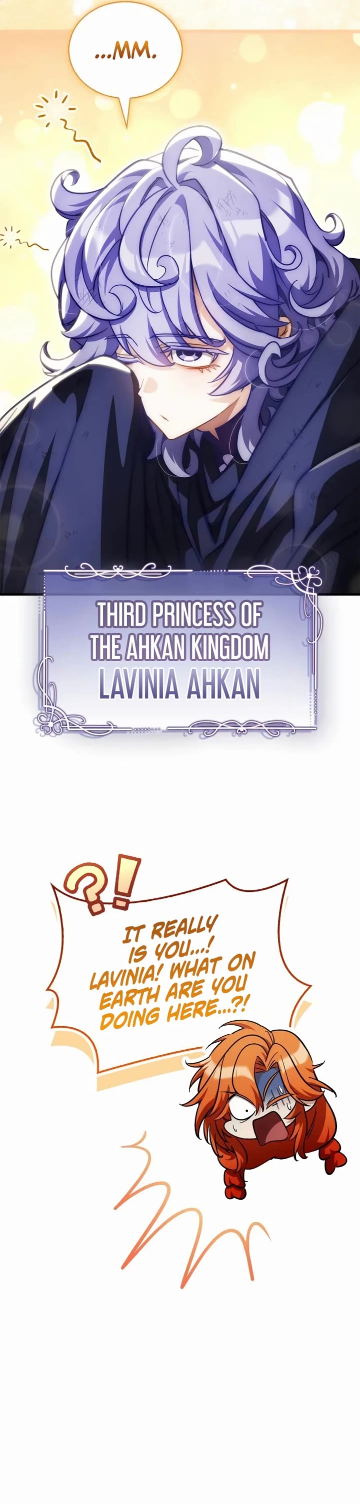 The Demon King Overrun by Heroes Chapter 24 page 19 - Chapter 24
