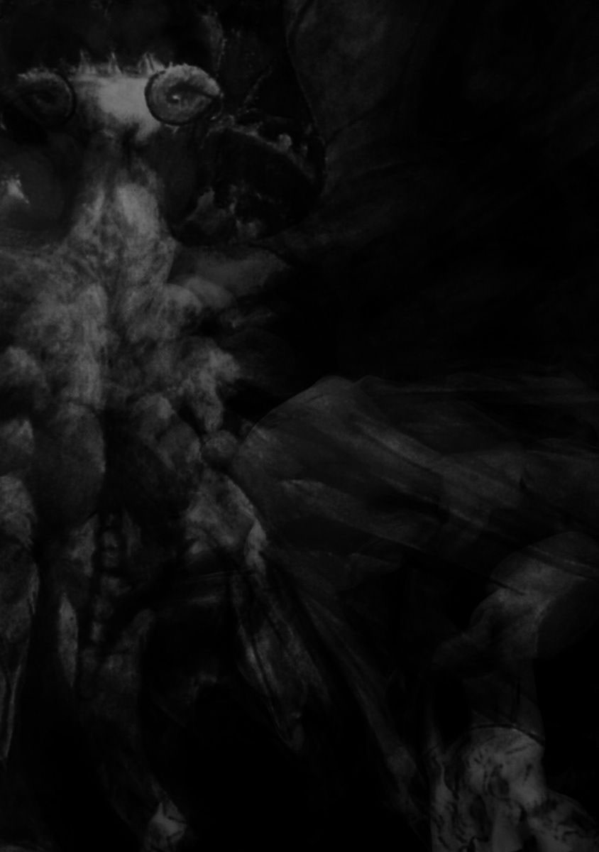 The Devil of the Gods Chapter 7 page 34 - Chapter 7