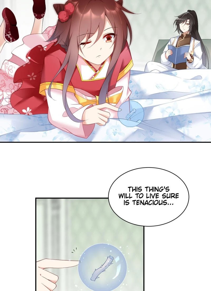 The Distinguished Cute Master Chapter 192 page 4 - Chapter 192: Master is Growing Up