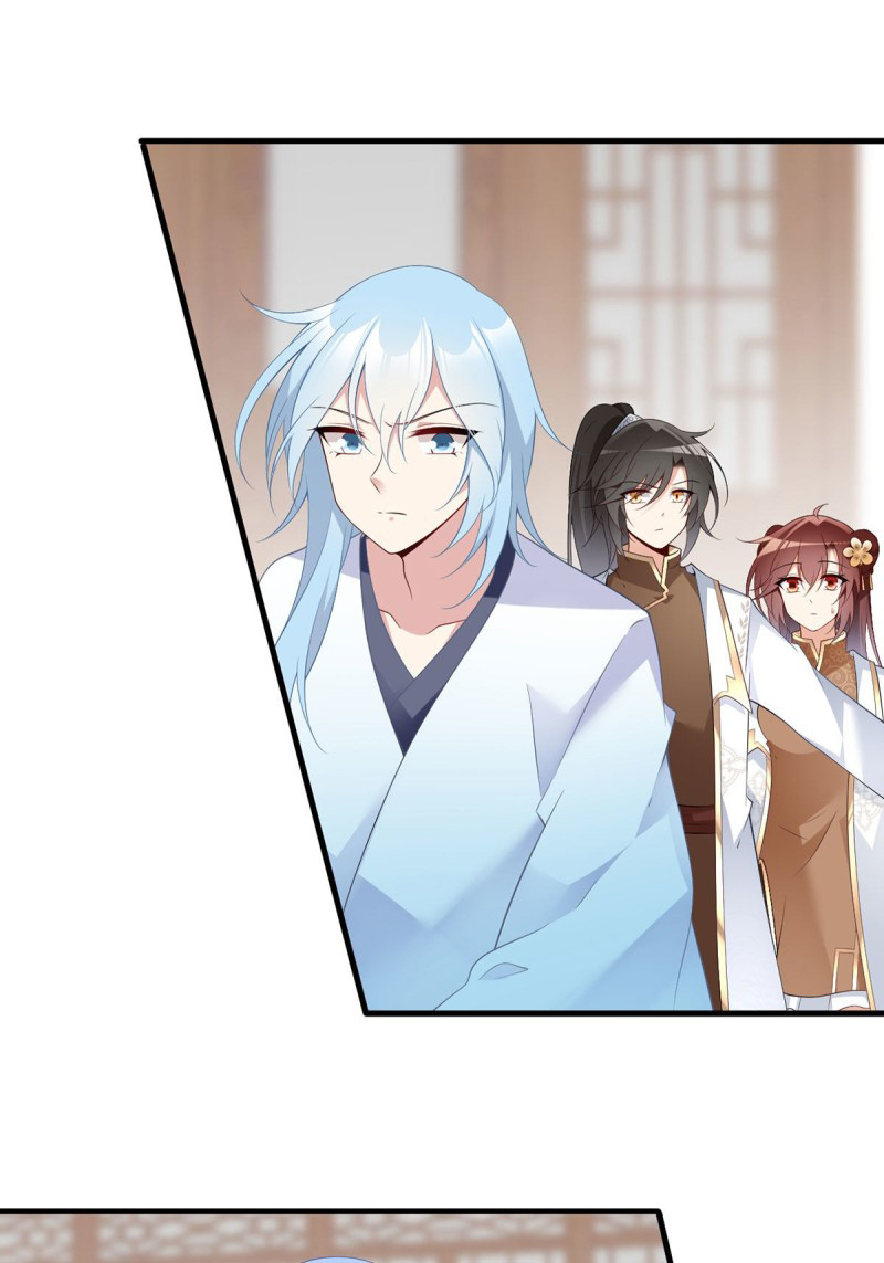 The Distinguished Cute Master Chapter 194 page 3 - Chapter 194: Conspiracy