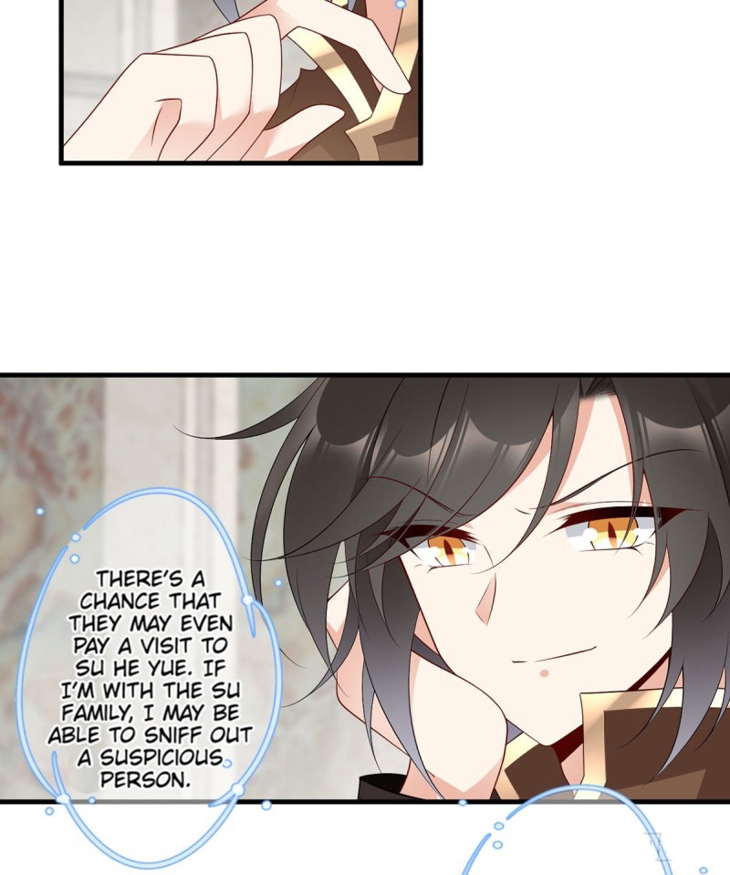 The Distinguished Cute Master Chapter 204 page 13 - Chapter 204: A High Profile Guarantee