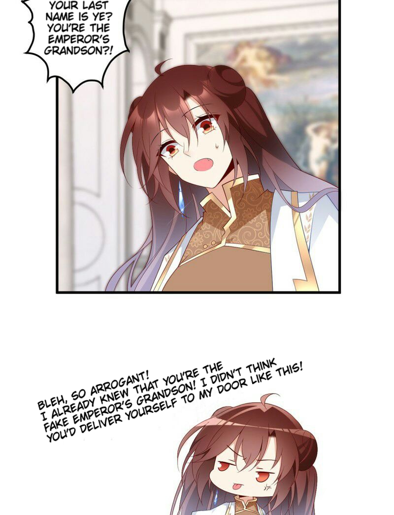 The Distinguished Cute Master Chapter 205 page 30 - Chapter 205: The Emperor's Grandson's Visit