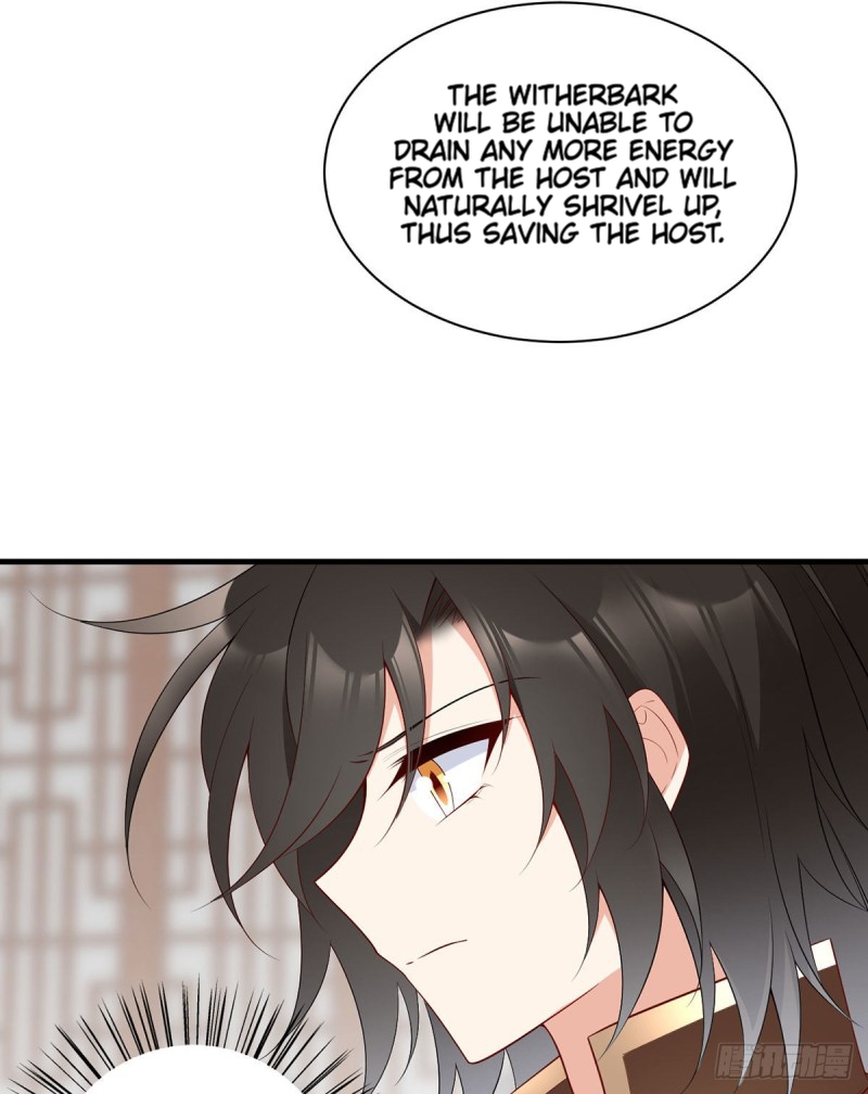 The Distinguished Cute Master Chapter 213 page 13 - Chapter 213: Those who are Jealous of Ye Chenyuan