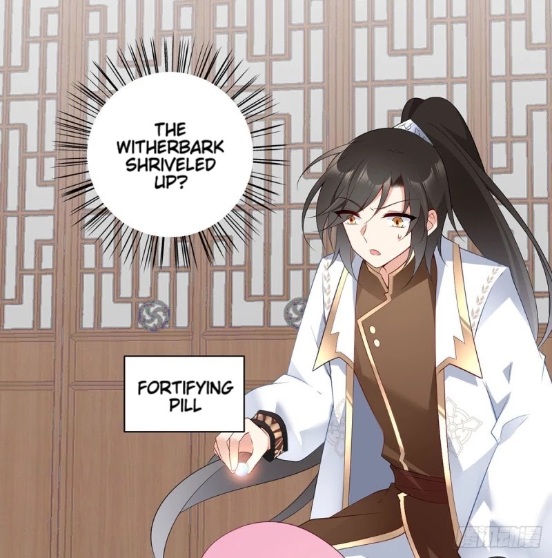The Distinguished Cute Master Chapter 213 page 9 - Chapter 213: Those who are Jealous of Ye Chenyuan