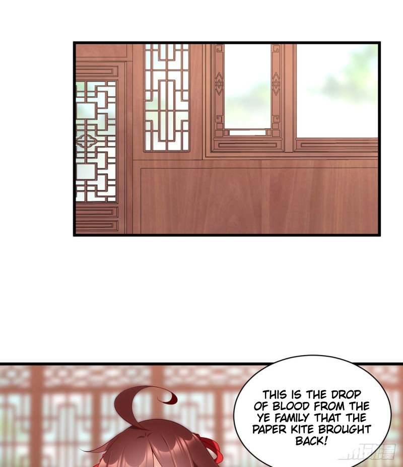 The Distinguished Cute Master Chapter 221 page 31 - Chapter 221: The Identity of the Fake Emperor's Grandson