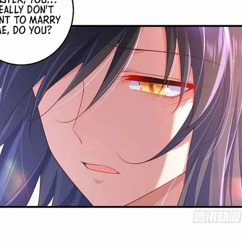 The Distinguished Cute Master Chapter 347: Casual, But Not Really cover
