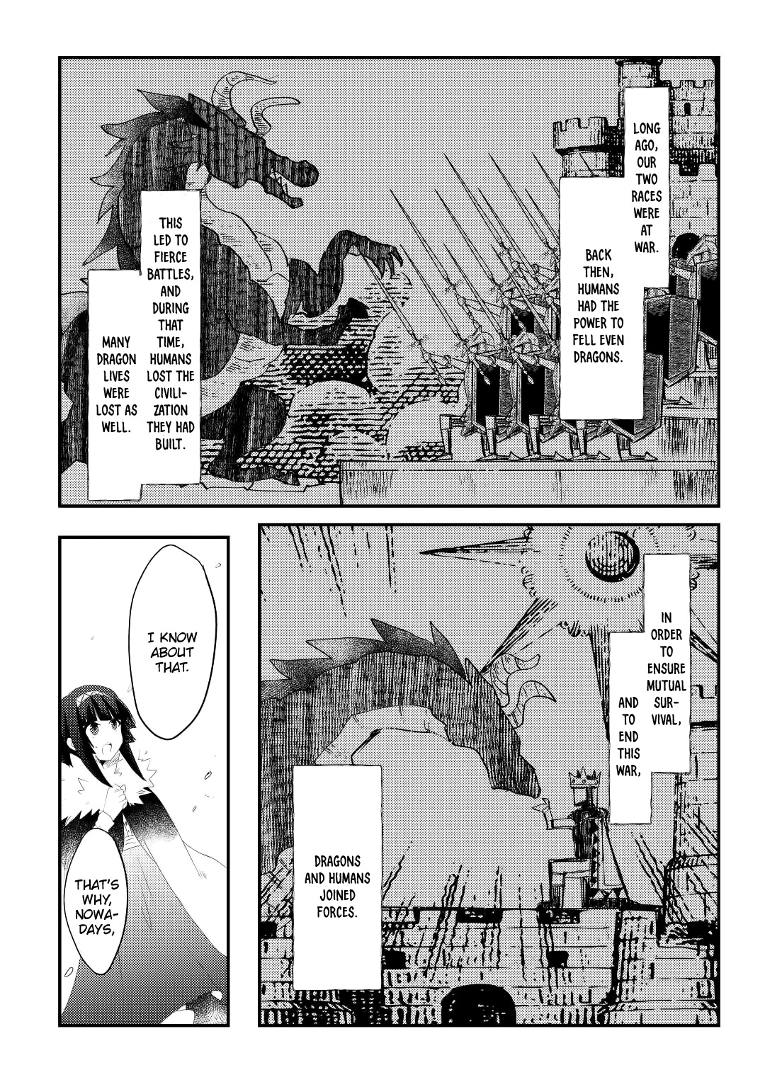 The Dragon And The Dragon Slayer Priestess Chapter 12 page 17 - Chapter 12