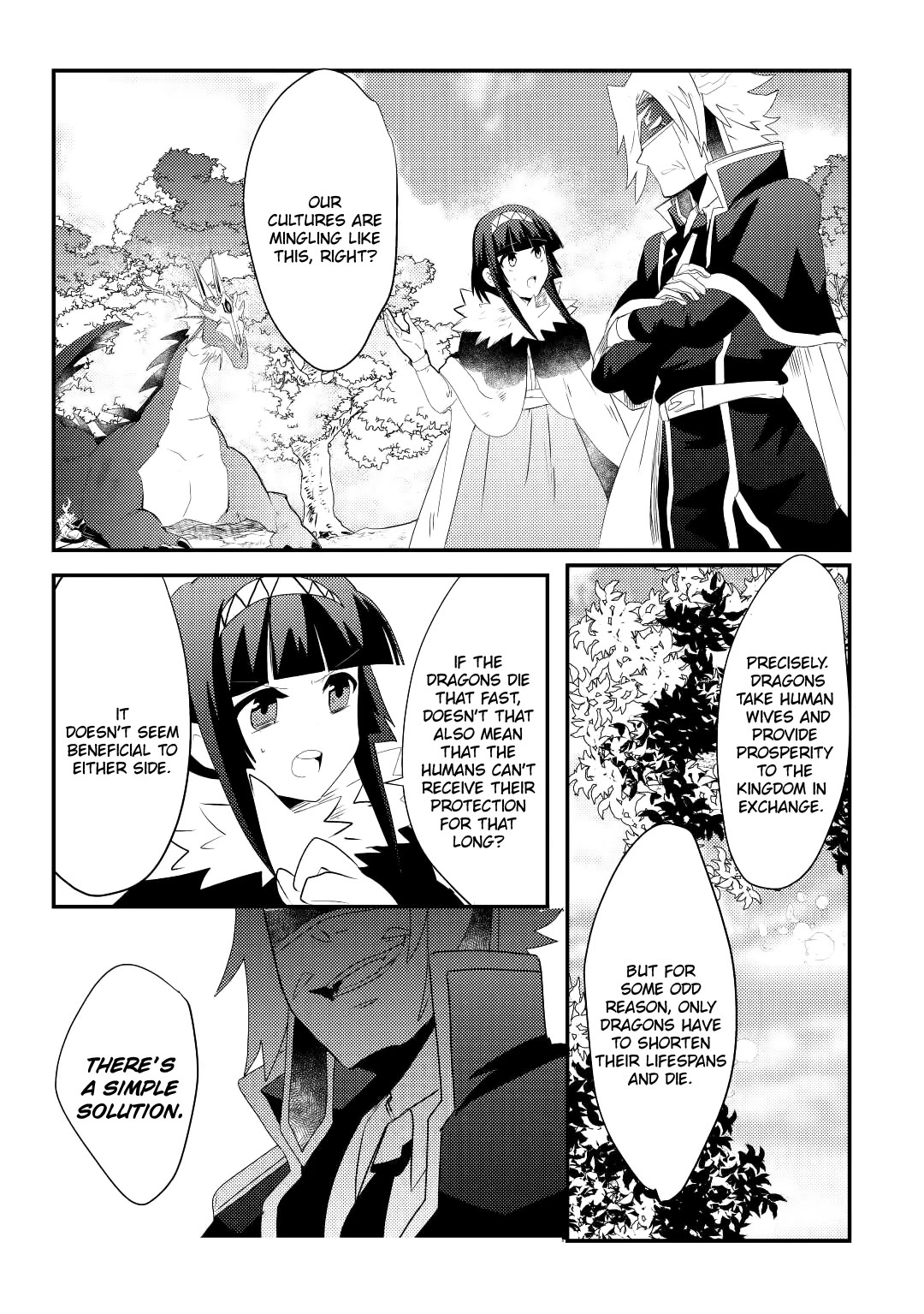 The Dragon And The Dragon Slayer Priestess Chapter 12 page 18 - Chapter 12