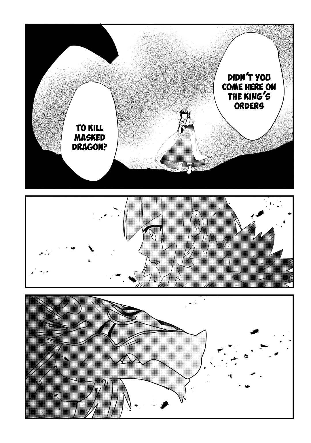 The Dragon And The Dragon Slayer Priestess Chapter 12 page 23 - Chapter 12