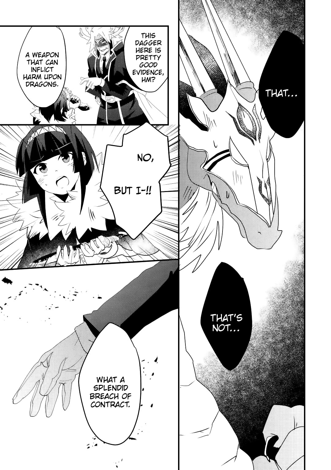 The Dragon And The Dragon Slayer Priestess Chapter 12 page 25 - Chapter 12