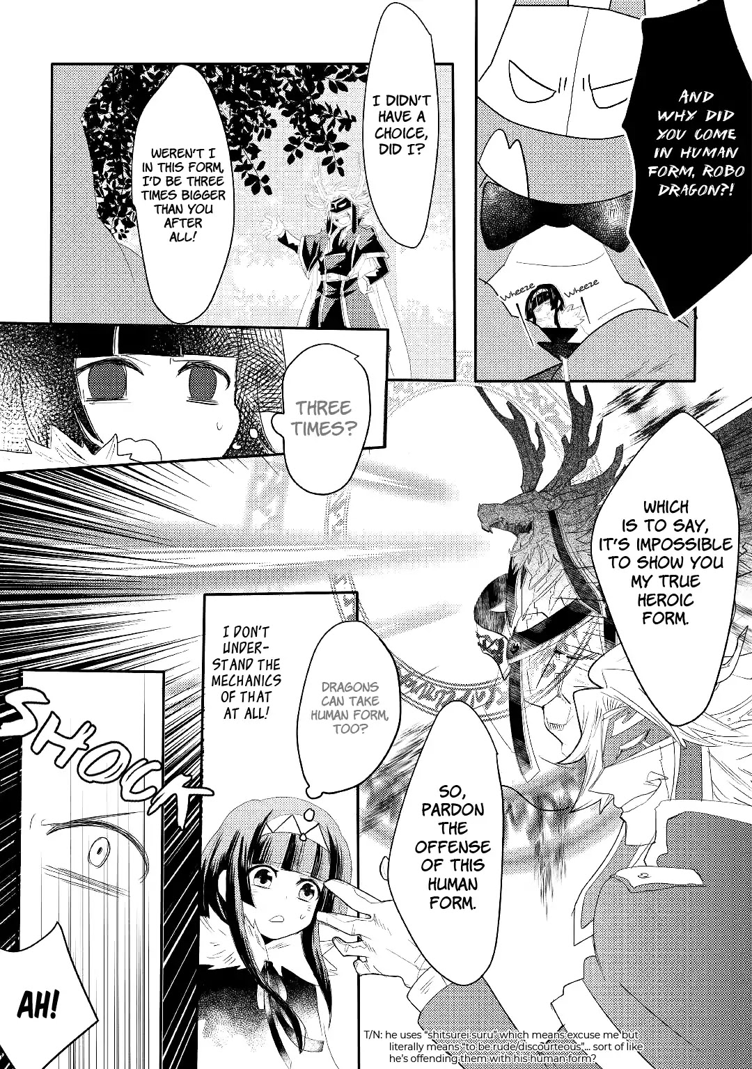 The Dragon And The Dragon Slayer Priestess Chapter 3 page 23 - Chapter 3