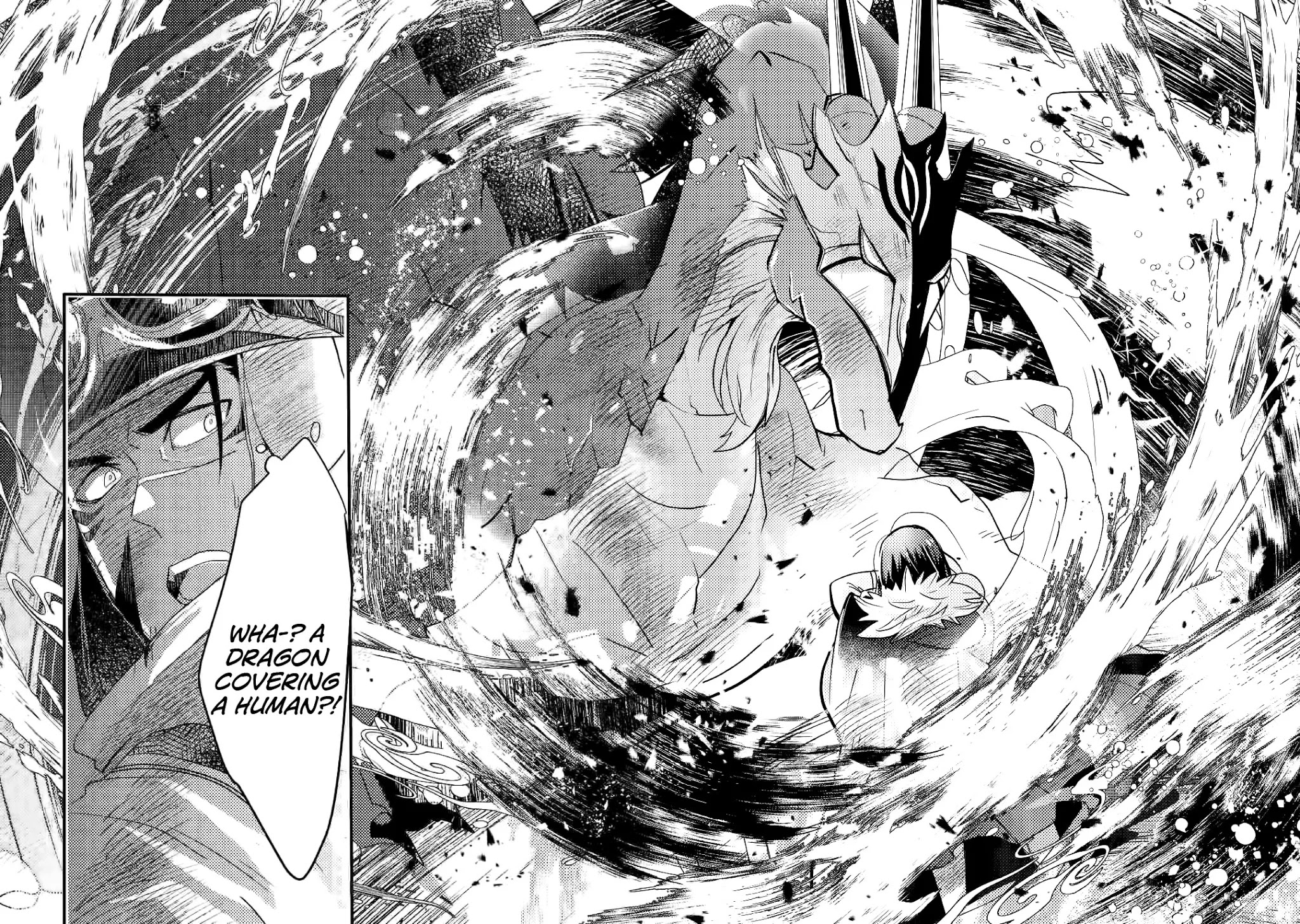 The Dragon And The Dragon Slayer Priestess Chapter 7 page 19 - Chapter 7