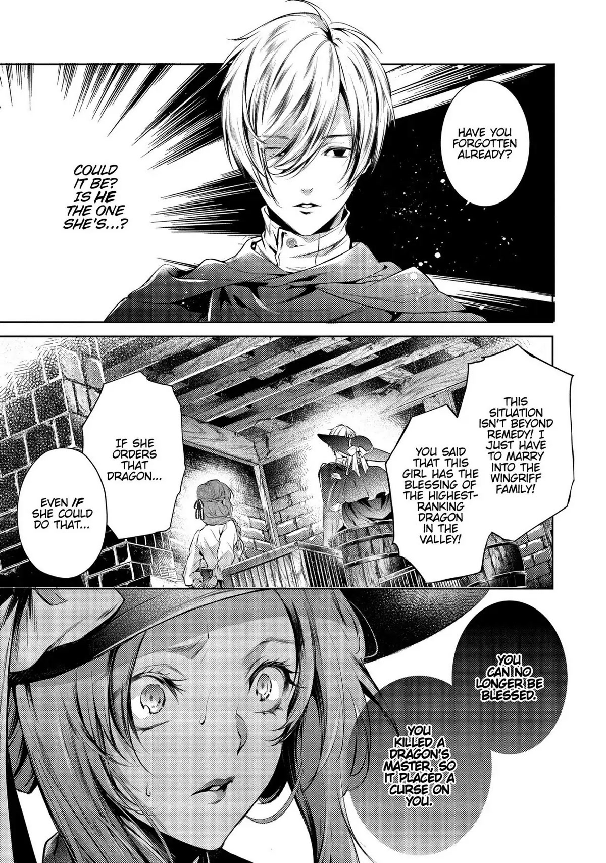 The Dragon Knight's Beloved Chapter 12 page 12 - Chapter 12