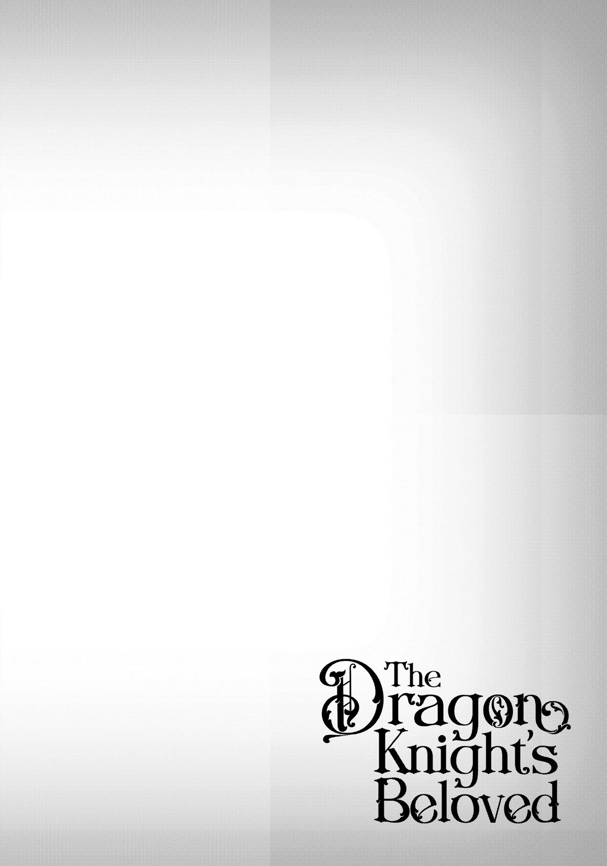 The Dragon Knight's Beloved Chapter 16 page 17 - Chapter 16