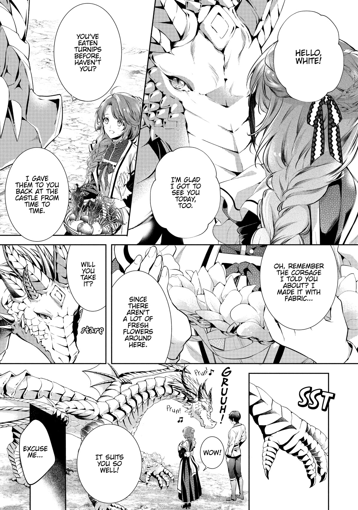 The Dragon Knight's Beloved Chapter 19 page 11 - Chapter 19