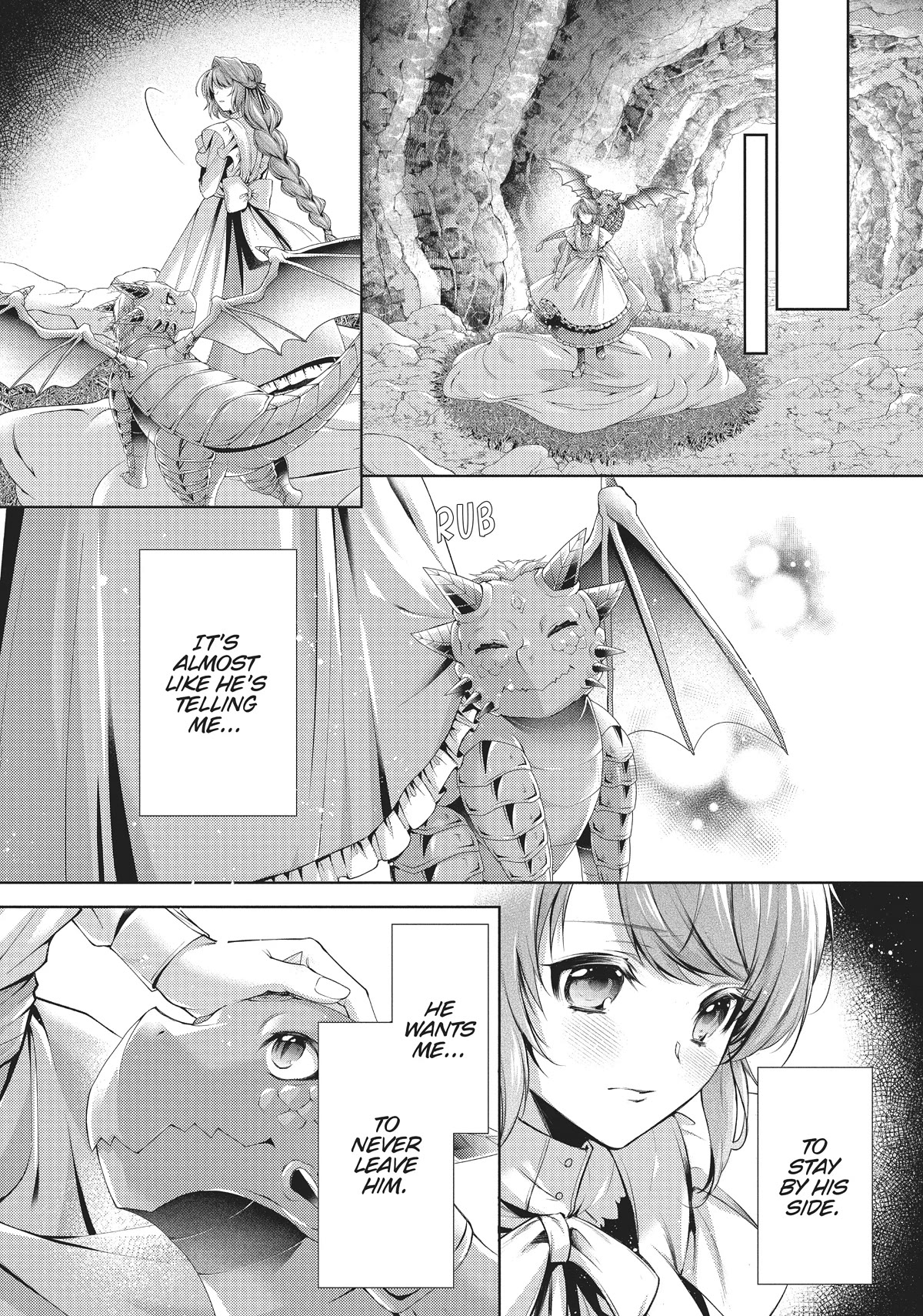 The Dragon Knight's Beloved Chapter 28 page 3 - Chapter 28