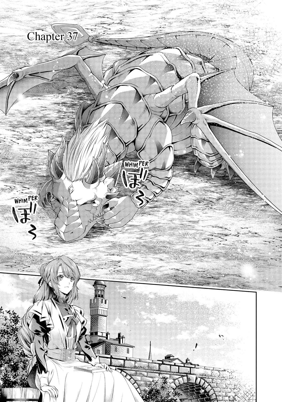 The Dragon Knight's Beloved Chapter 37 page 1 - Chapter 37