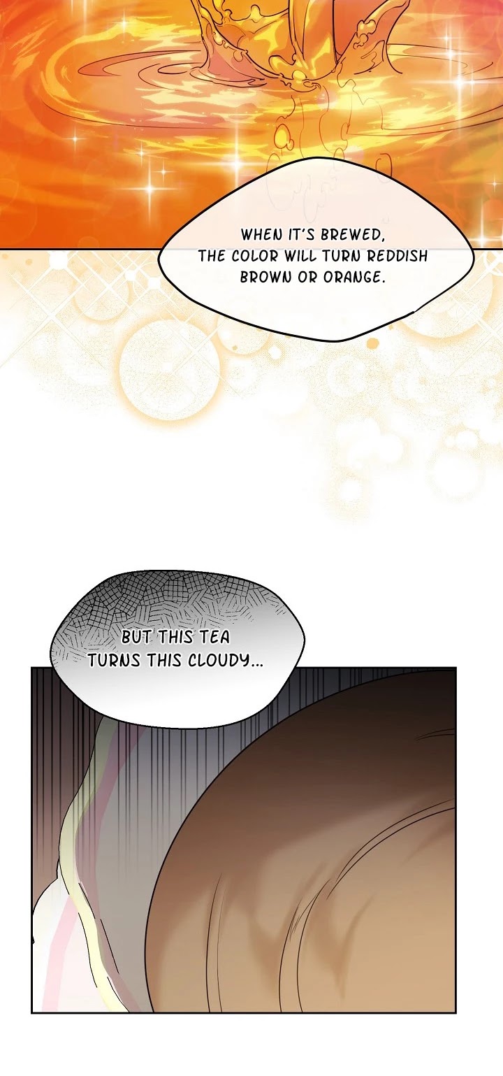 The Duchess' 50 Tea Recipes Chapter 57 page 21 - Chapter 57