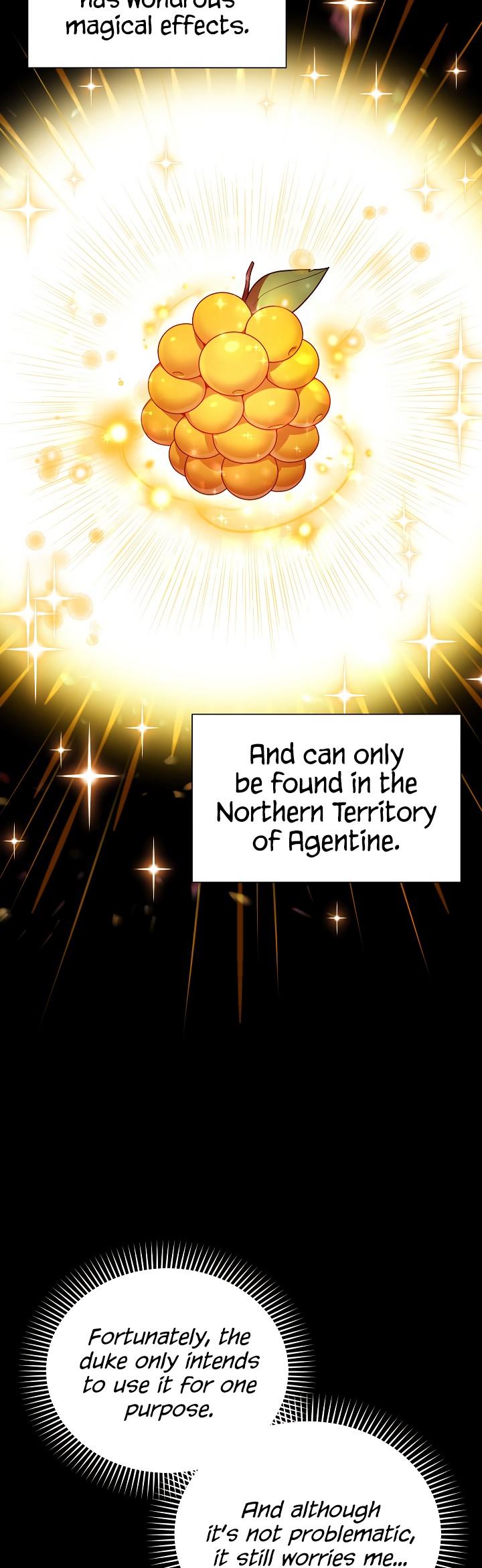 The Duchess With An Empty Soul Chapter 27 page 30 - Chapter 27