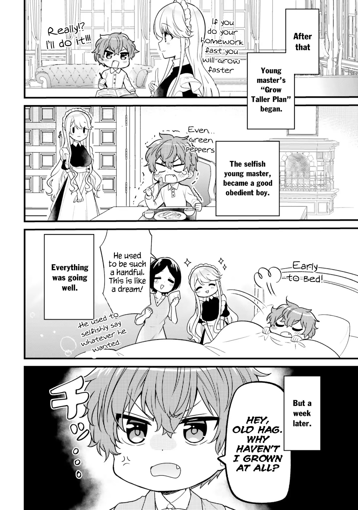 The Earnest Egocentric Duke And His Satisfactory Sisterly Maid Chapter 2 page 9 - Chapter 2