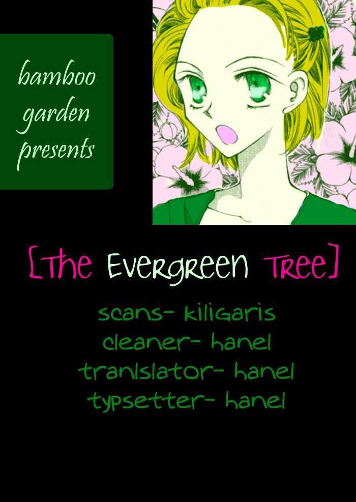 The Evergreen Tree Chapter 0 page 1 - Chapter 0 : The Evergreen Tree