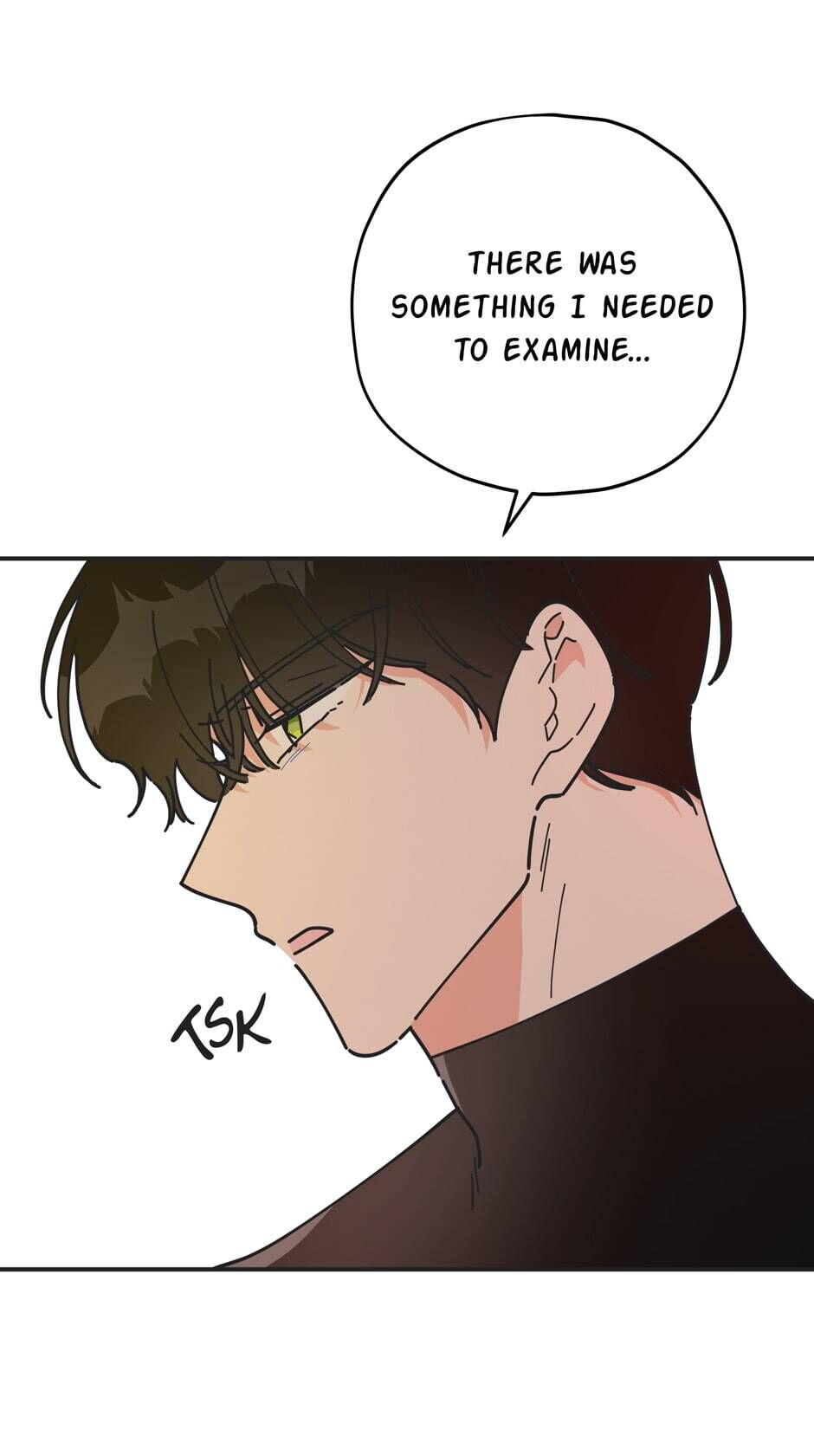The Evil Lady's Hero Chapter 63 page 63 - Chapter 63: The Burn