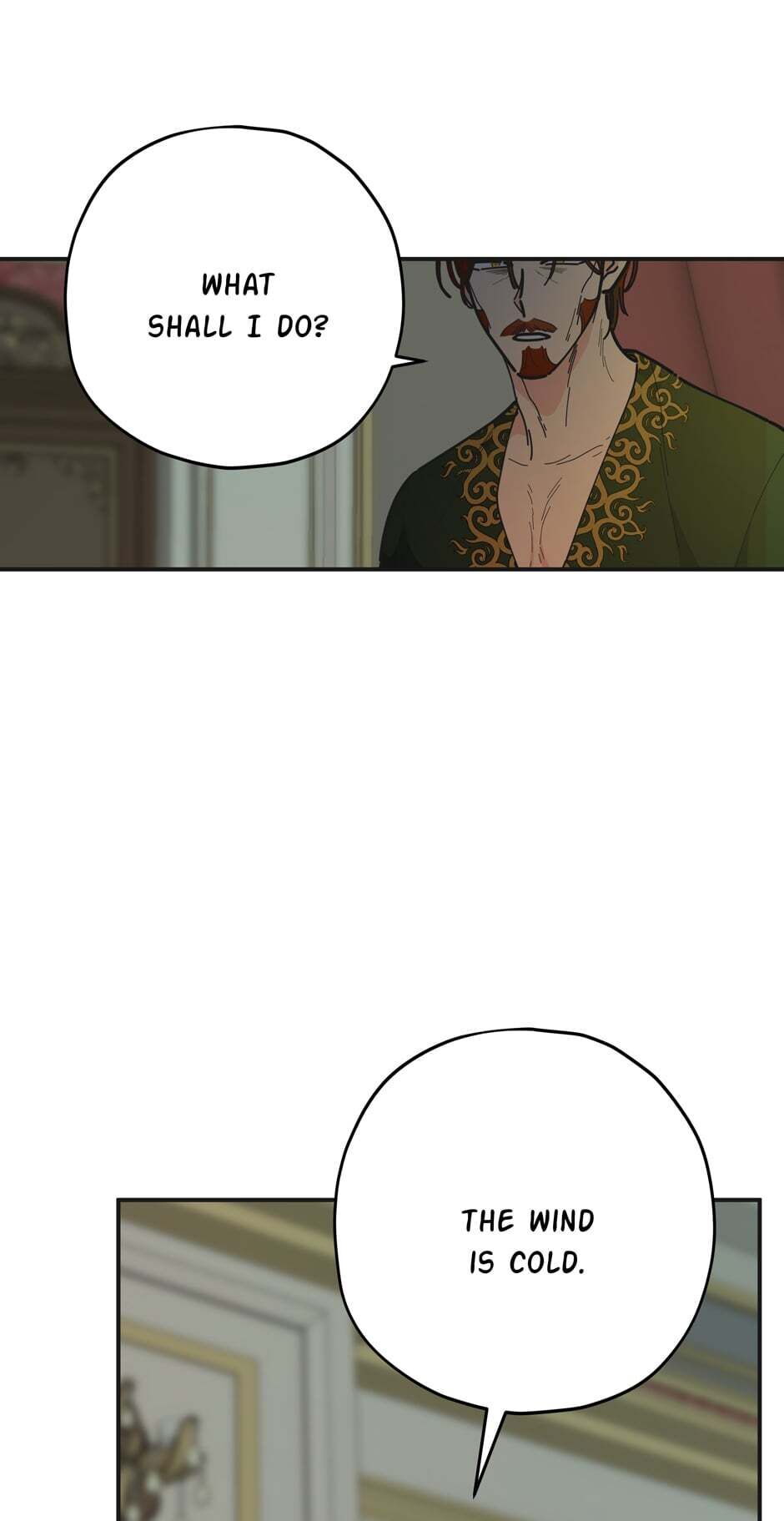 The Evil Lady's Hero Chapter 76 page 17 - Chapter 76: The Emperor's Madness